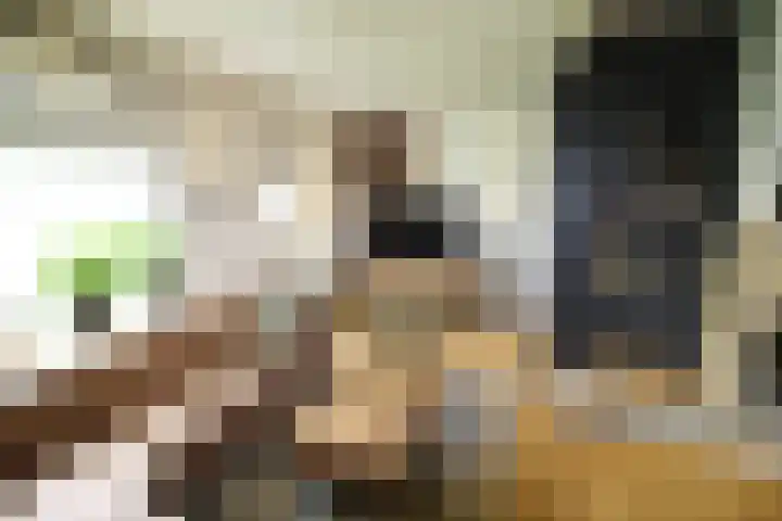 Westeinde 320 Vriezenveen thumbnail 7