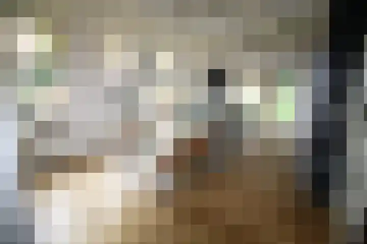 Westeinde 320 Vriezenveen thumbnail 9