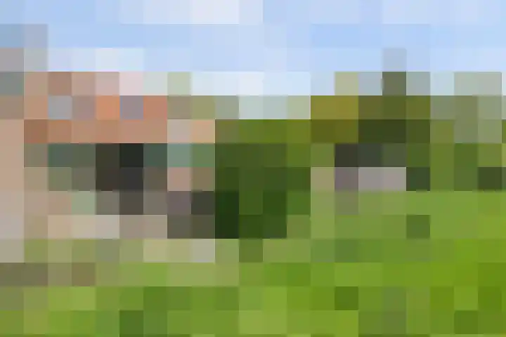 Westeinde 33 Enkhuizen thumbnail 27