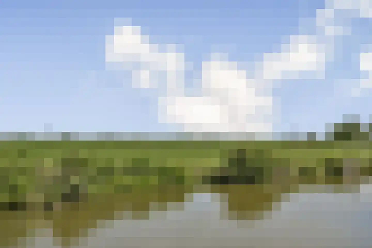 Westeinde 330 Berkhout thumbnail 17