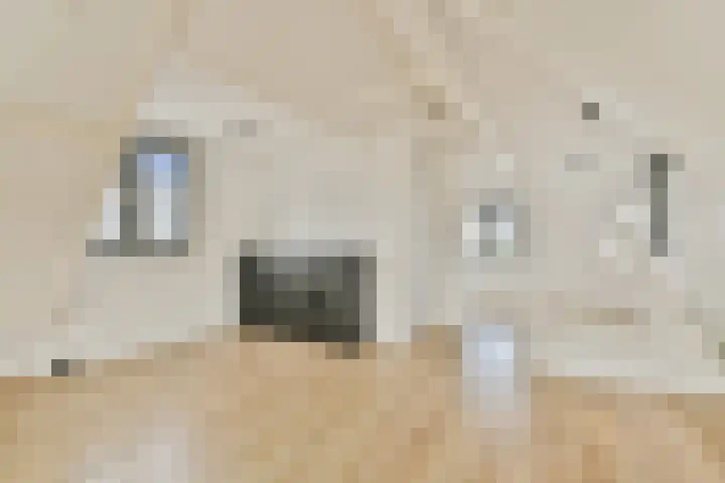 Westeinde 330 Berkhout thumbnail 18