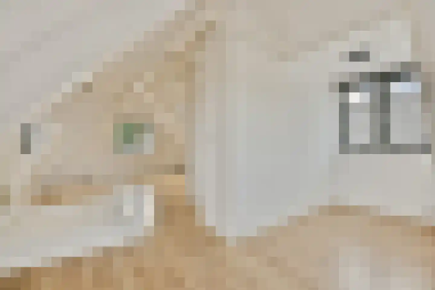 Westeinde 330 Berkhout thumbnail 20