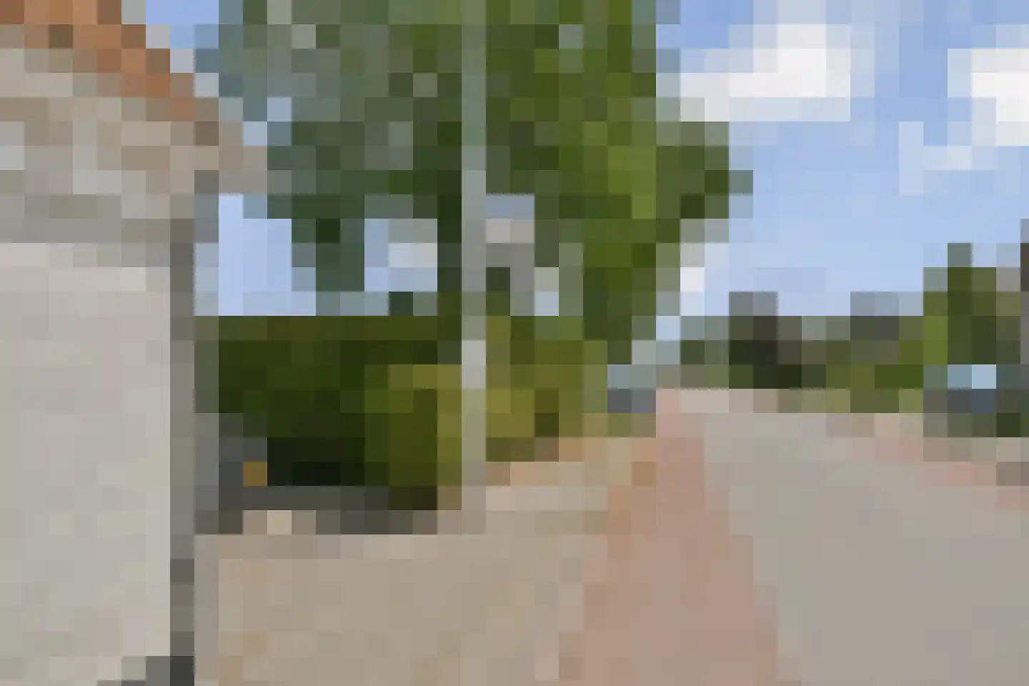 Westeinde 330 Berkhout thumbnail 23