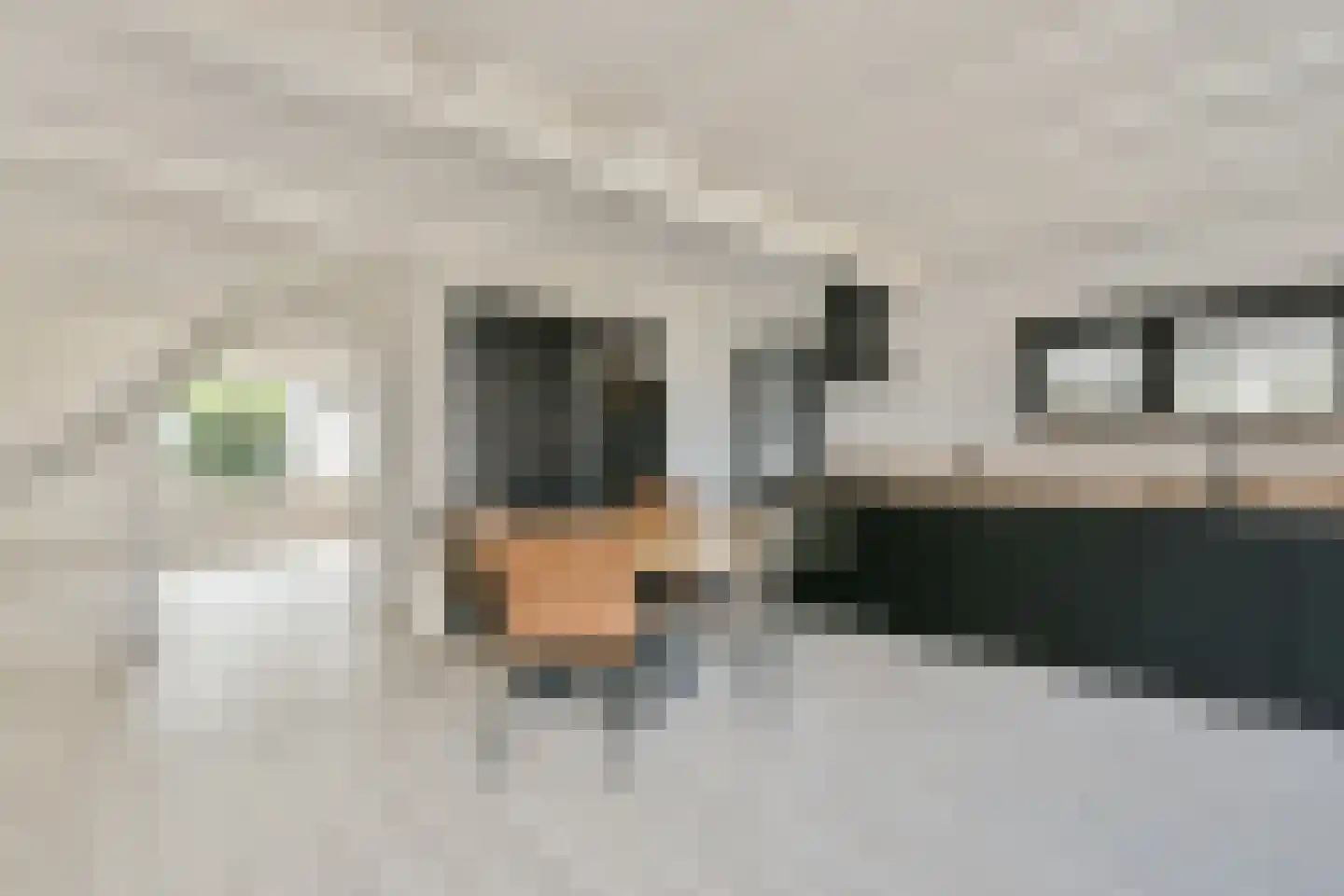 Westeinde 330 Berkhout thumbnail 6
