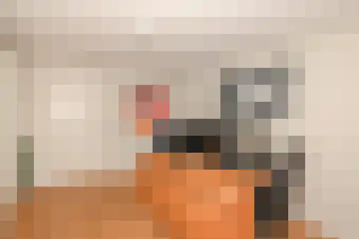 Westeinde 34 A Den Haag thumbnail 34