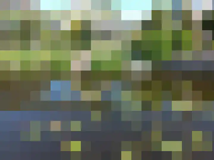 Westeinde 34 Roelofarendsveen thumbnail 24