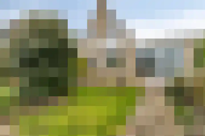 Westeinde 34 Roelofarendsveen thumbnail 27
