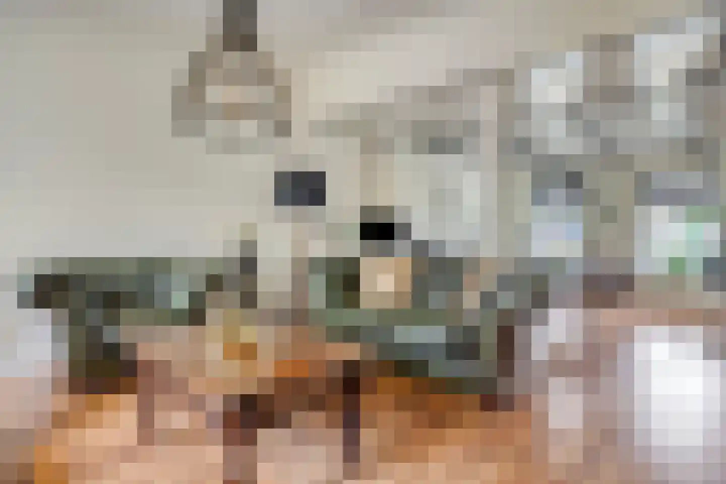 Westeinde 343 Berkhout thumbnail 18