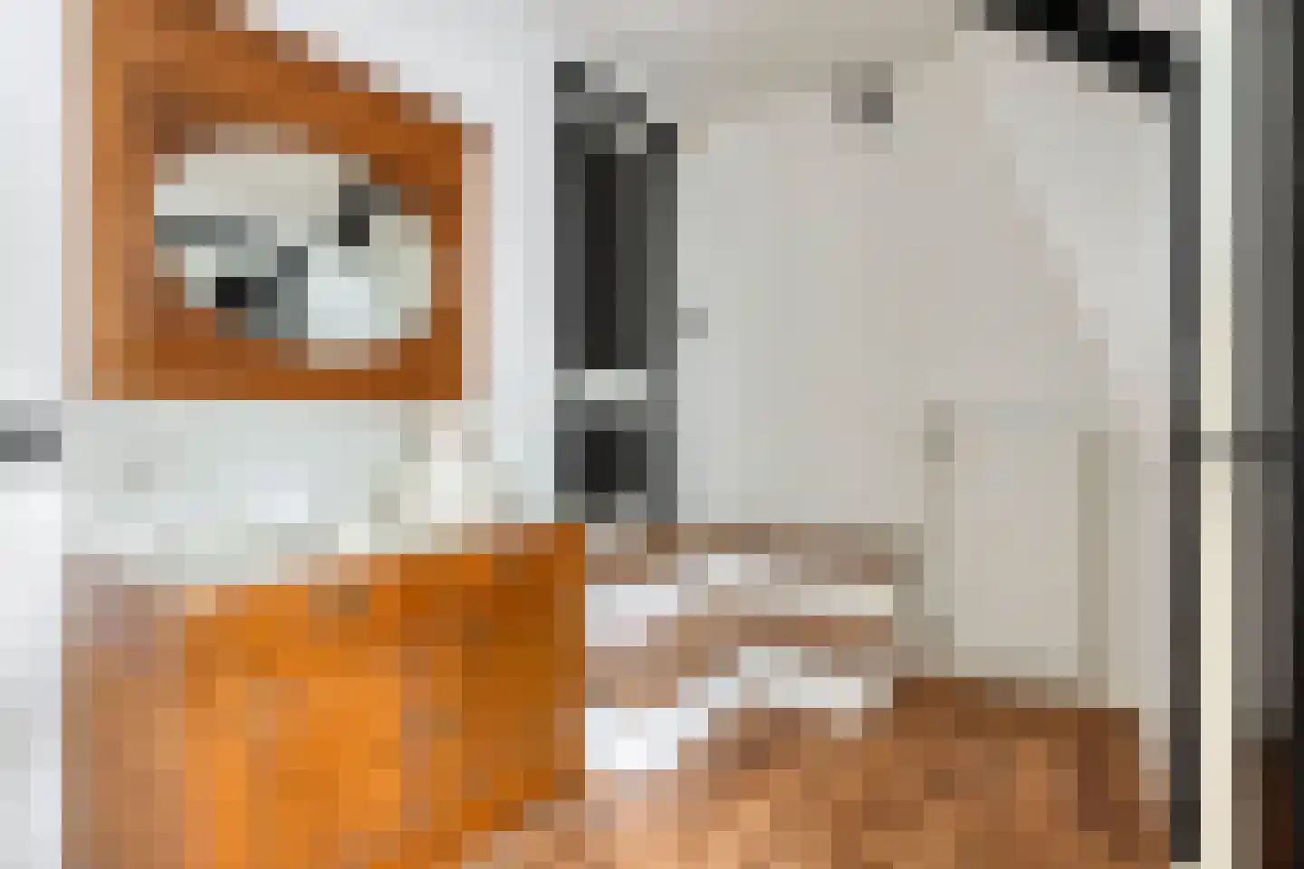Westeinde 343 Berkhout thumbnail 29