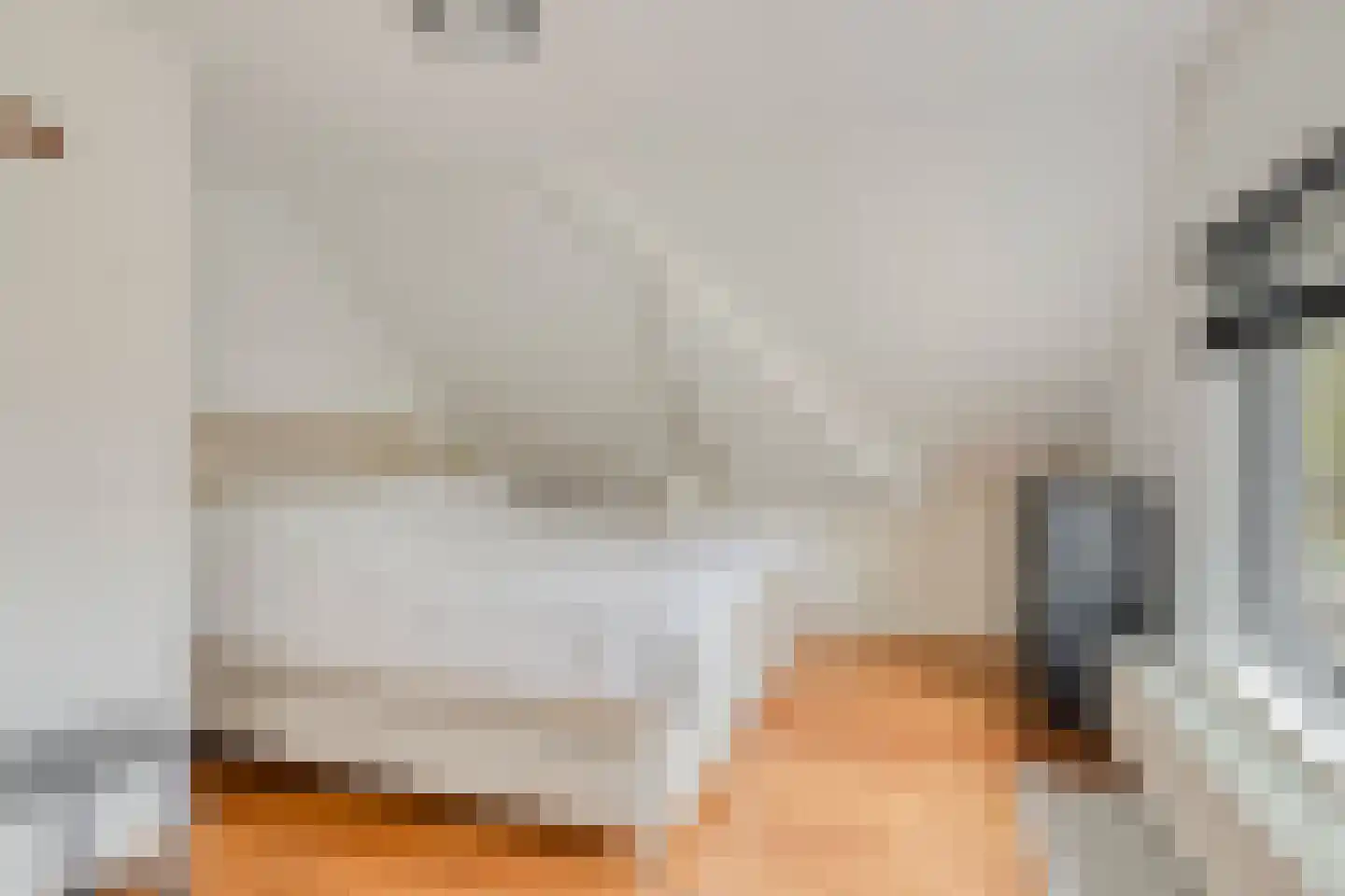 Westeinde 343 Berkhout thumbnail 30