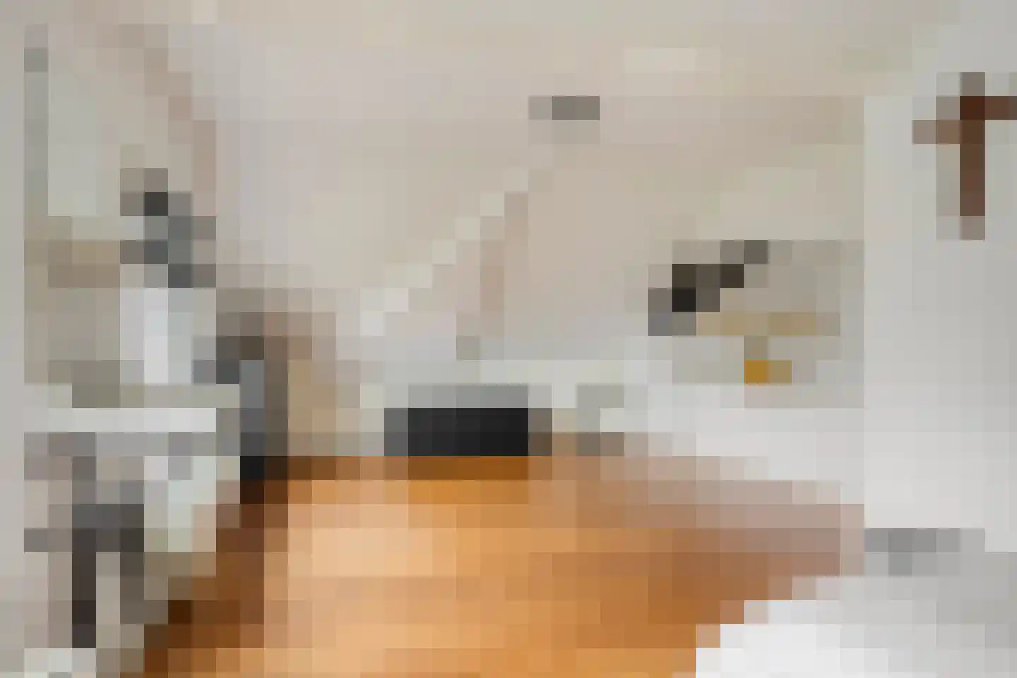 Westeinde 343 Berkhout thumbnail 31