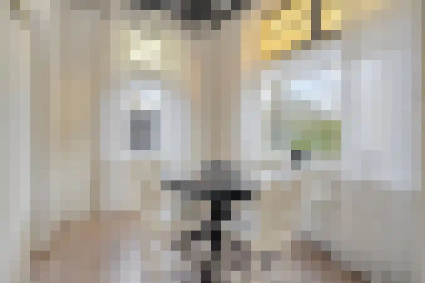 Westeinde 343 Berkhout thumbnail 36