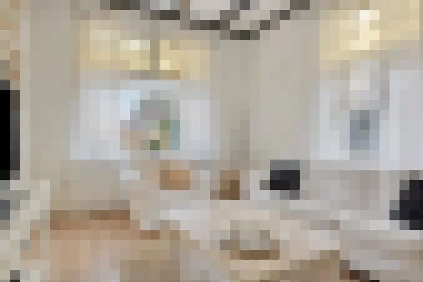 Westeinde 343 Berkhout thumbnail 4