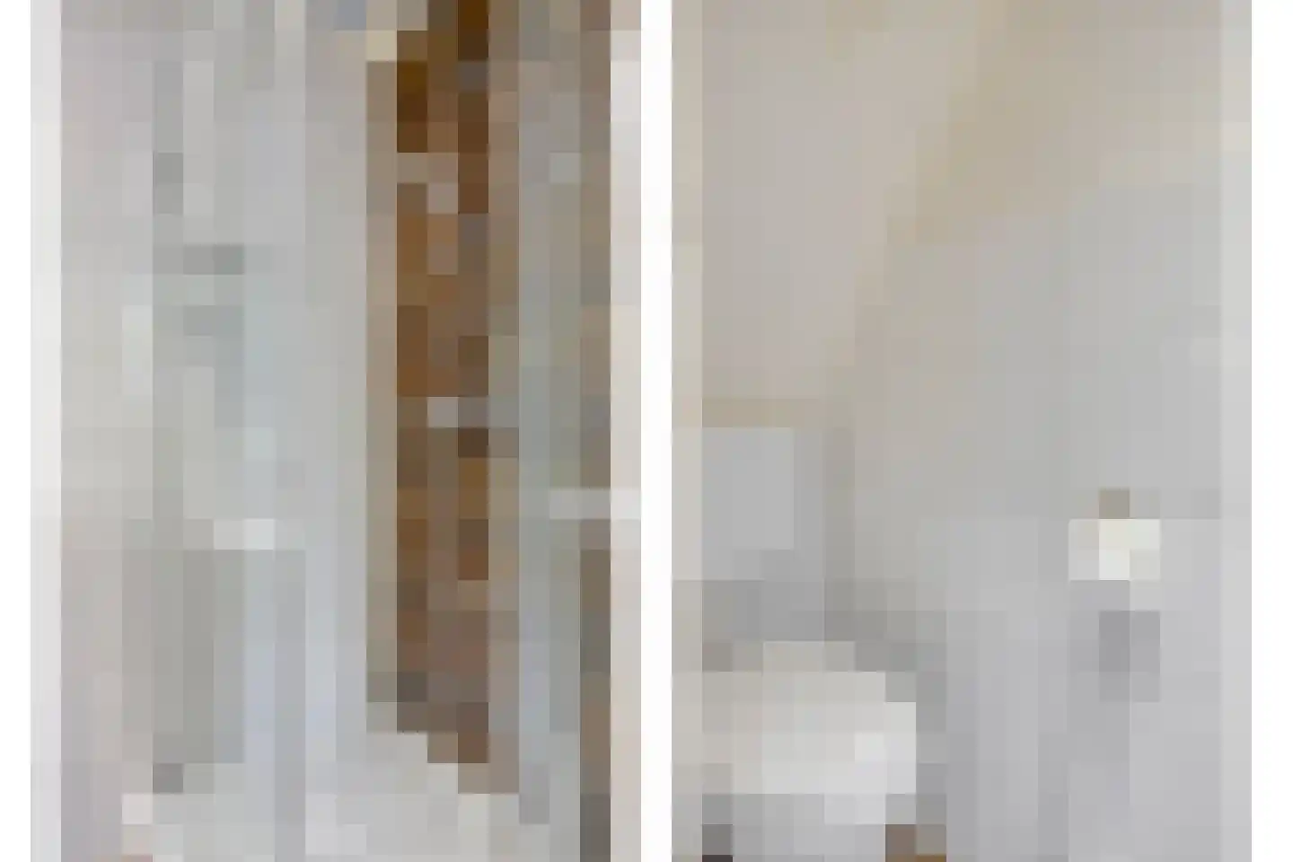 Westeinde 343 Berkhout thumbnail 41