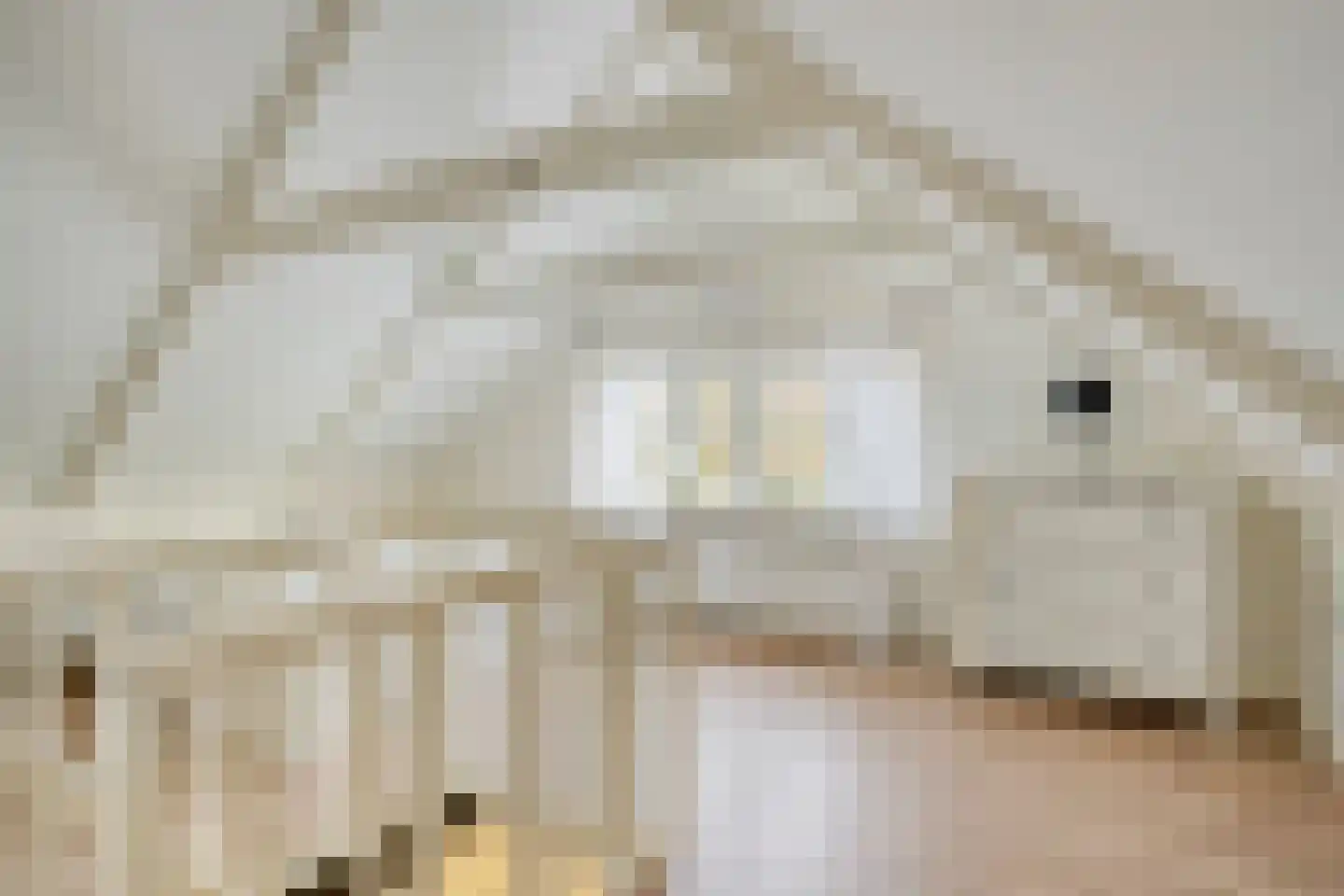 Westeinde 343 Berkhout thumbnail 42