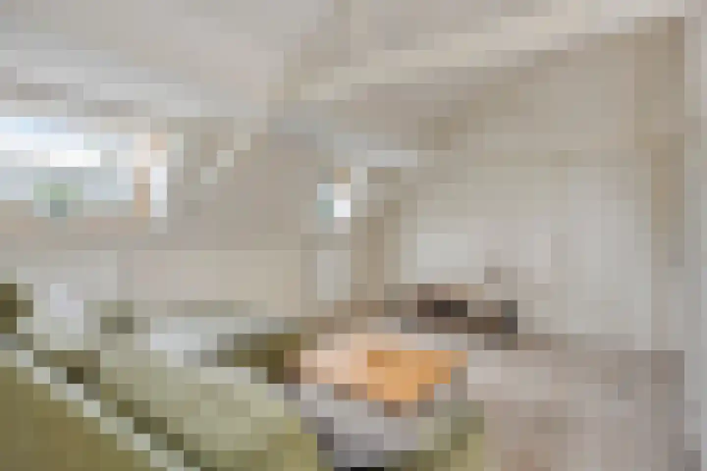 Westeinde 343 Berkhout thumbnail 45