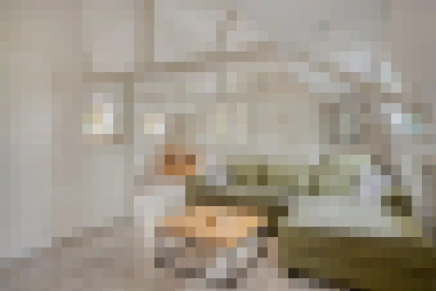 Westeinde 343 Berkhout thumbnail 47