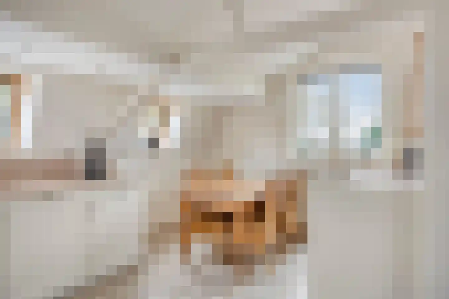 Westeinde 343 Berkhout thumbnail 48