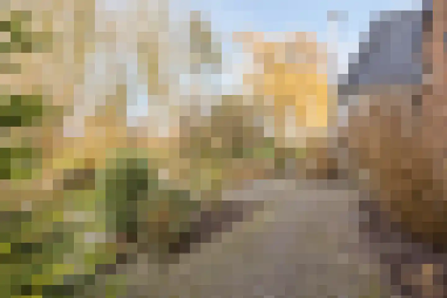 Westeinde 343 Berkhout thumbnail 58