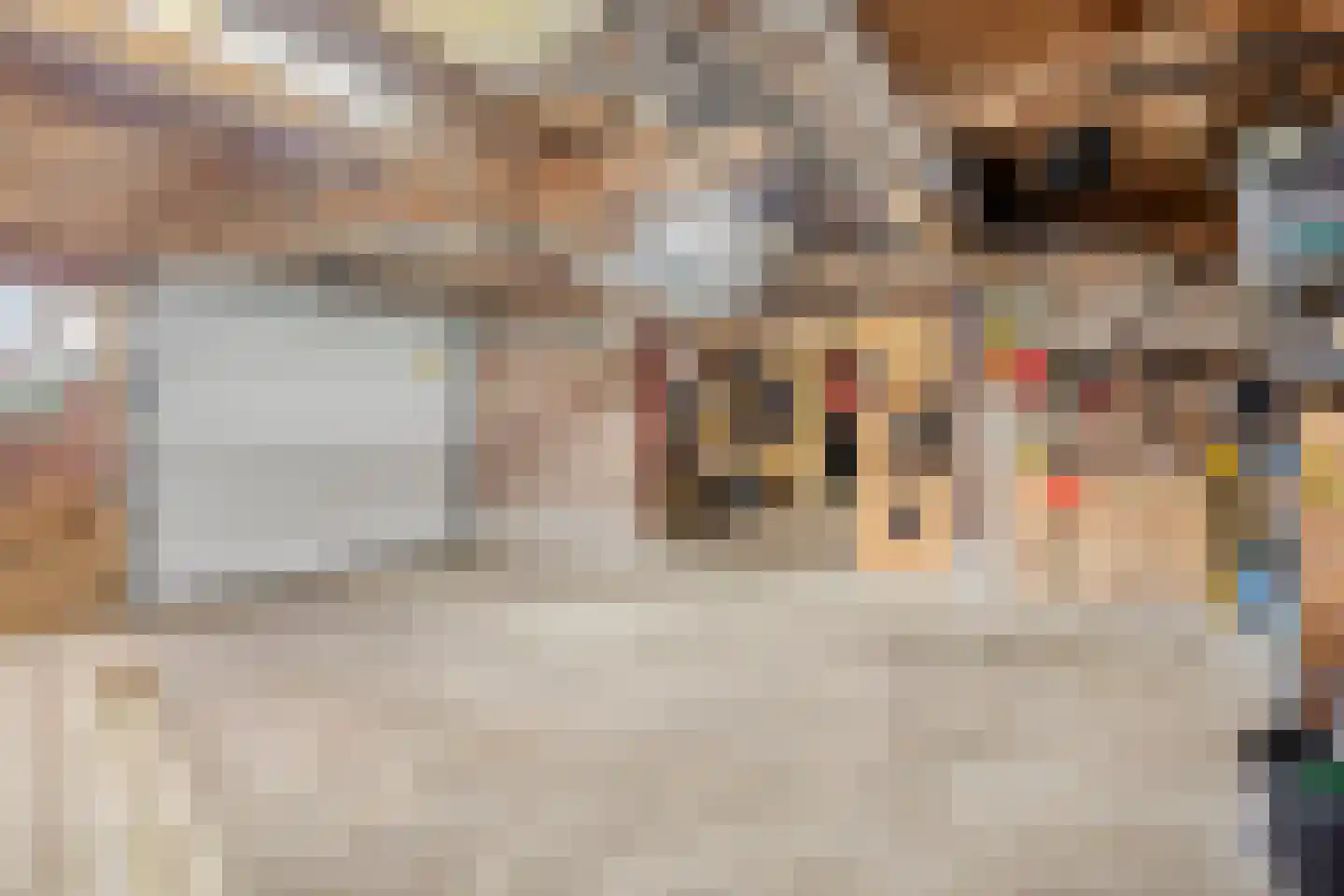 Westeinde 343 Berkhout thumbnail 66