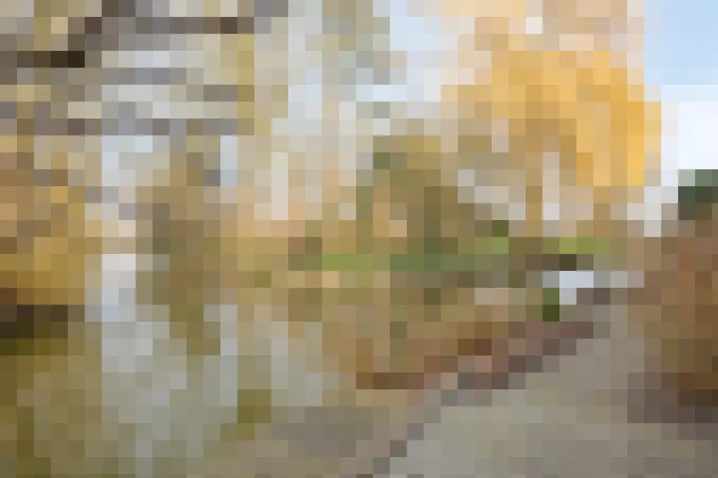 Westeinde 343 Berkhout thumbnail 8
