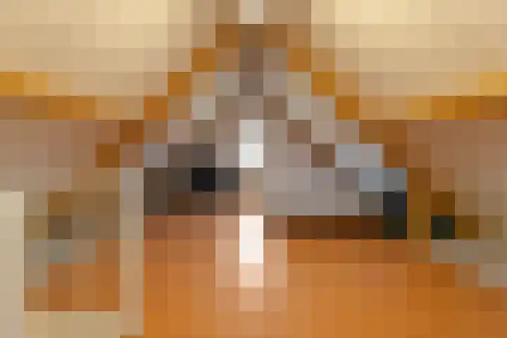 Westeinde 35 c Vriezenveen thumbnail 12