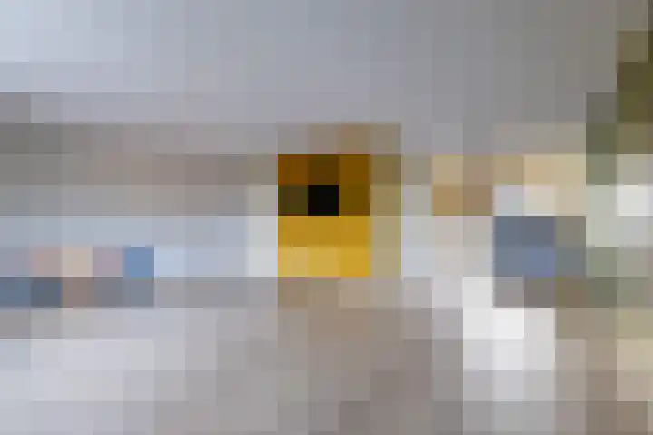 Westeinde 35 c Vriezenveen thumbnail 16