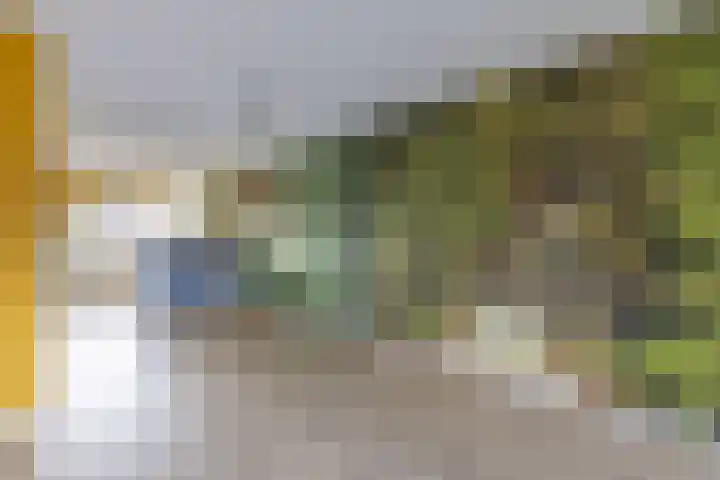 Westeinde 35 c Vriezenveen thumbnail 17