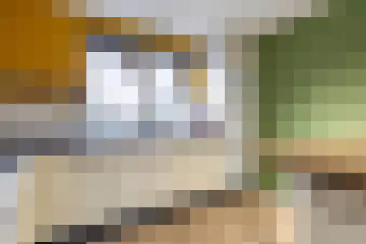Westeinde 35 c Vriezenveen thumbnail 19