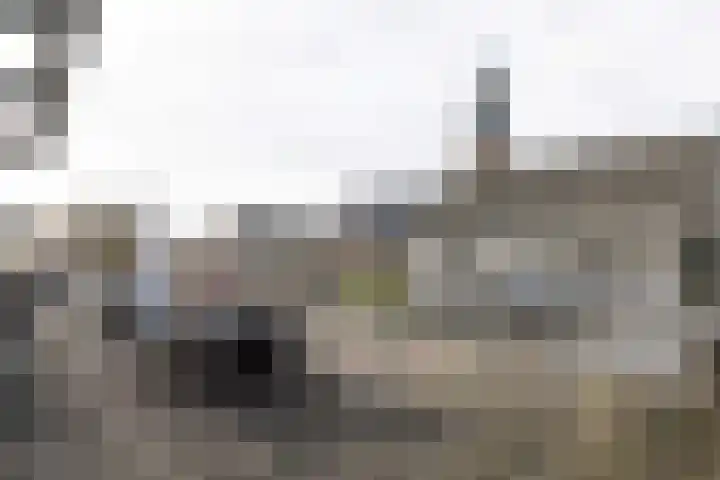 Westeinde 35 c Vriezenveen thumbnail 29