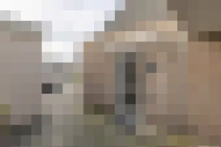 Westeinde 35 c Vriezenveen thumbnail 9