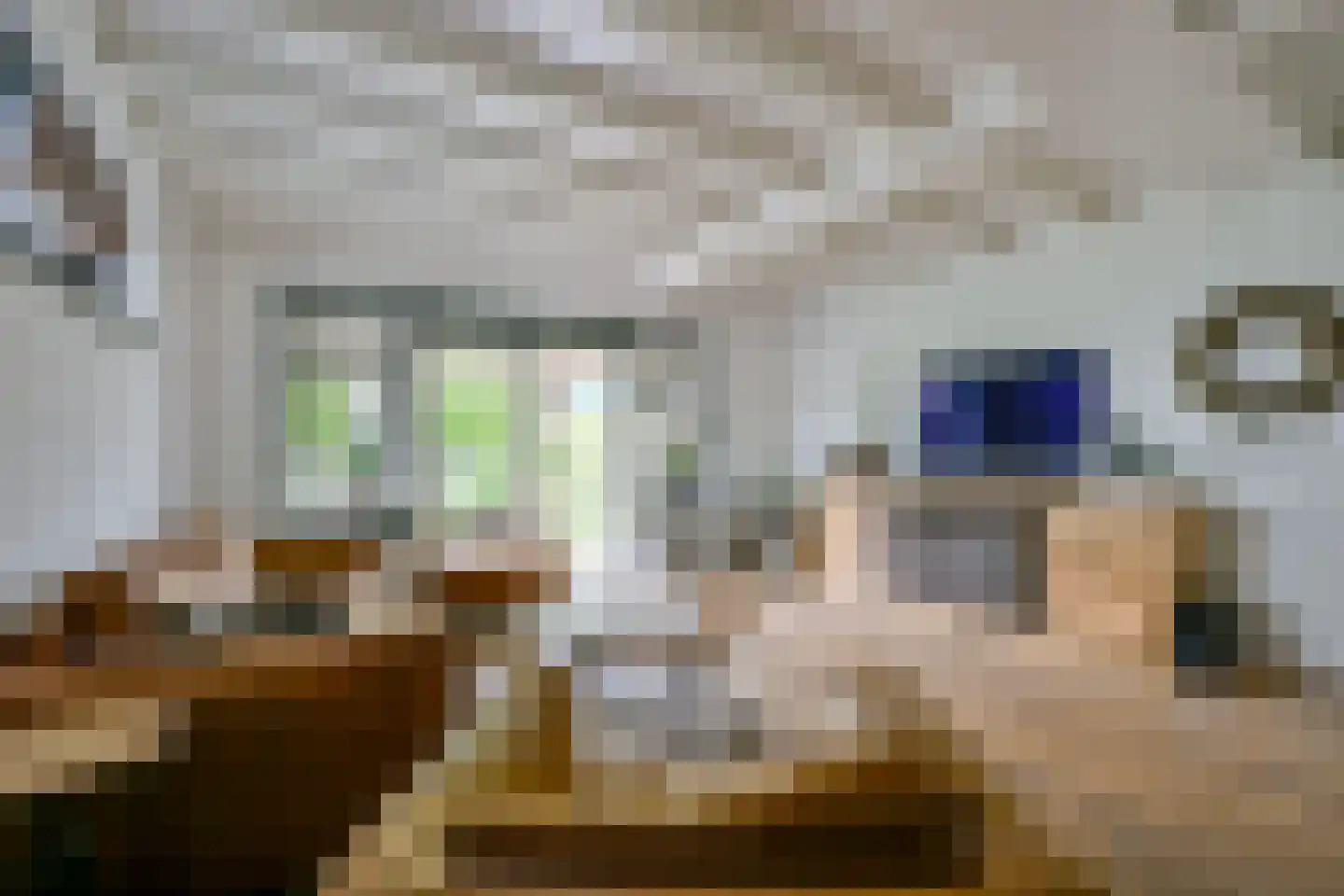 Westeinde 35 Schermerhorn thumbnail 12