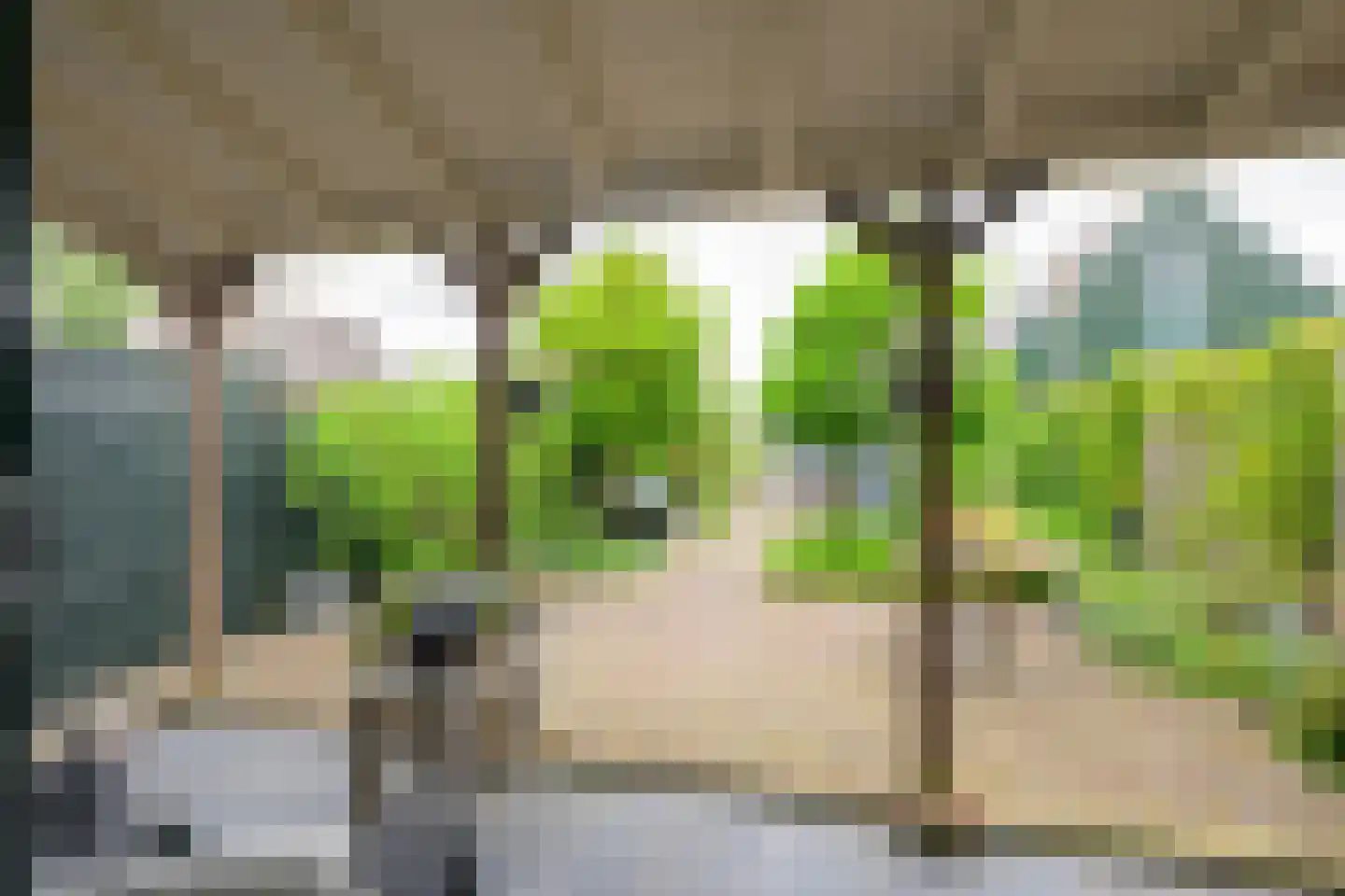 Westeinde 35 Schermerhorn thumbnail 13