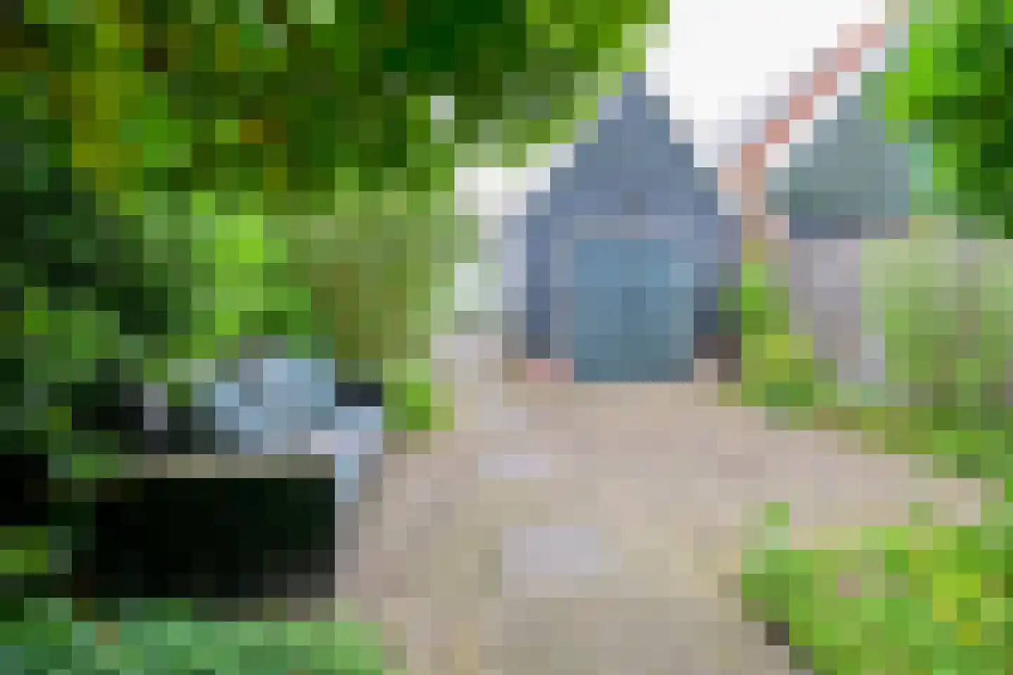 Westeinde 35 Schermerhorn thumbnail 14