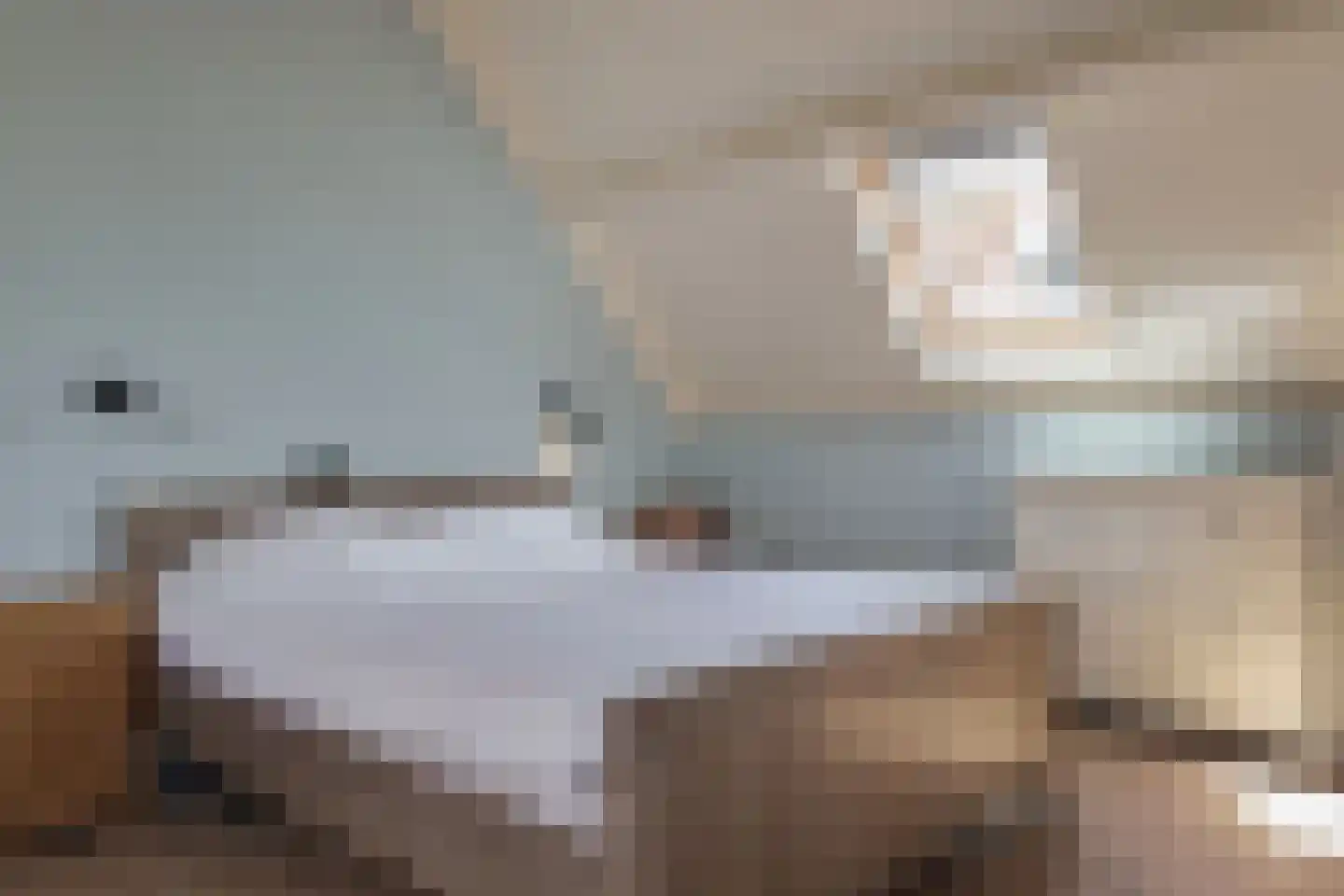 Westeinde 35 Schermerhorn thumbnail 18