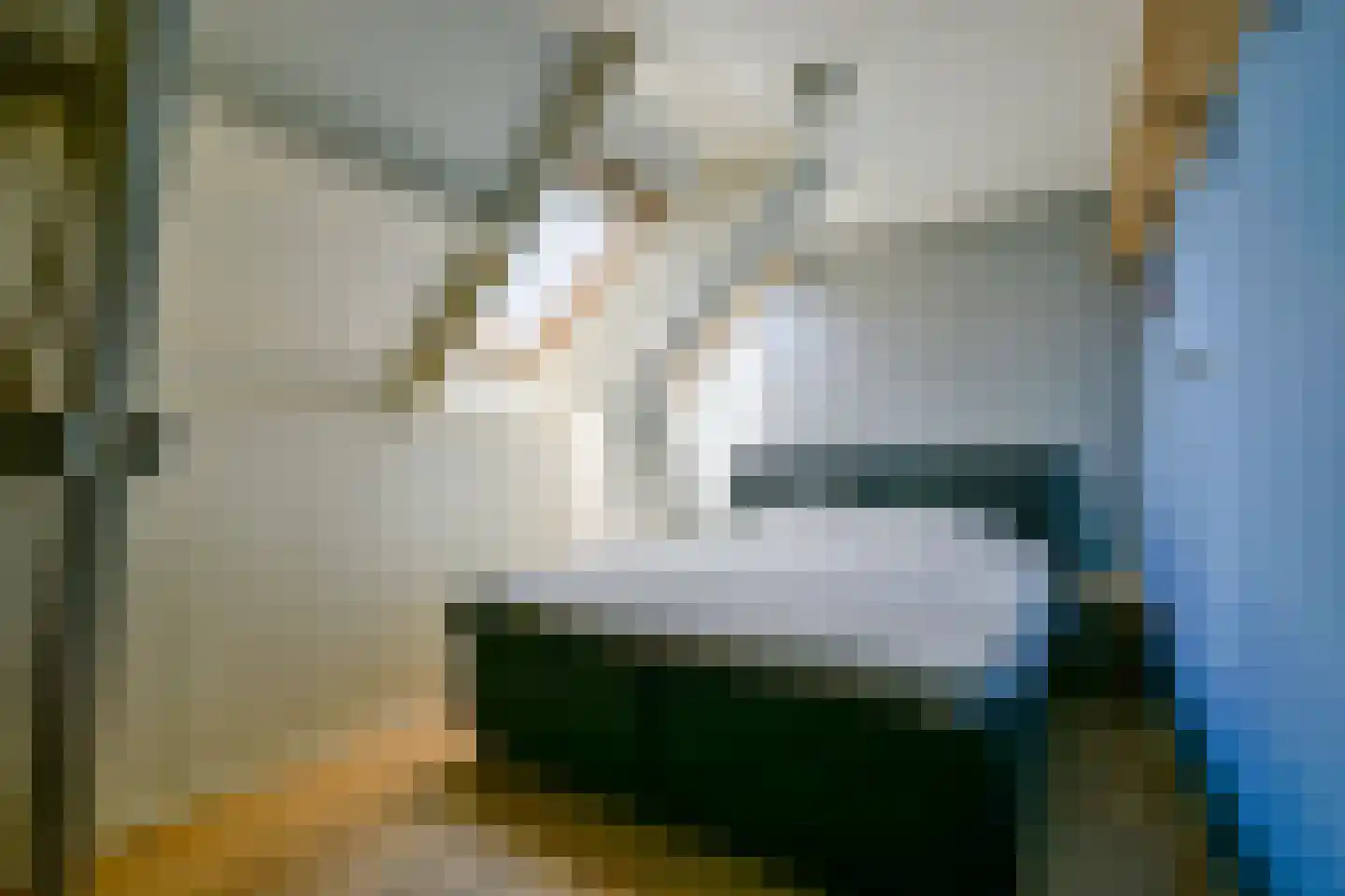 Westeinde 35 Schermerhorn thumbnail 19
