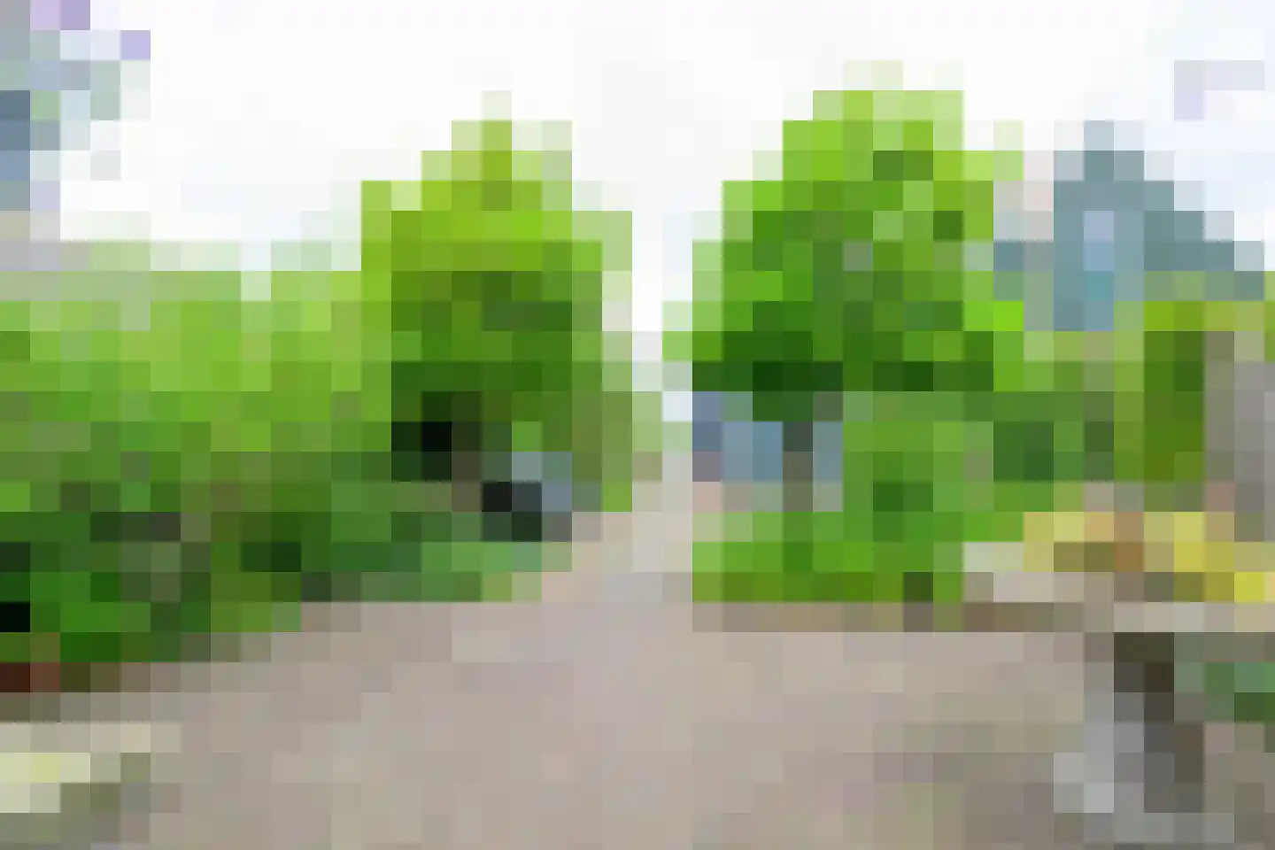 Westeinde 35 Schermerhorn thumbnail 5