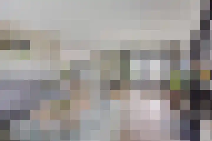 Westeinde 352 Berkhout thumbnail 11