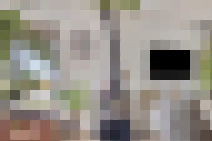Westeinde 352 Berkhout thumbnail 12