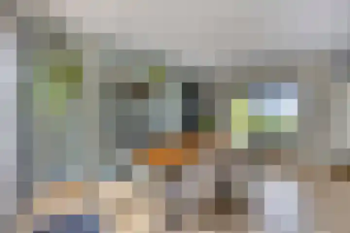 Westeinde 352 Berkhout thumbnail 15