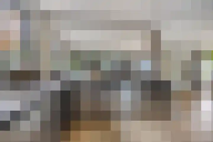 Westeinde 352 Berkhout thumbnail 18