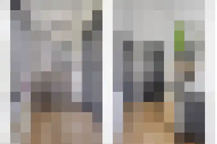 Westeinde 352 Berkhout thumbnail 22