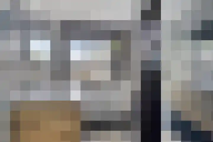 Westeinde 352 Berkhout thumbnail 25