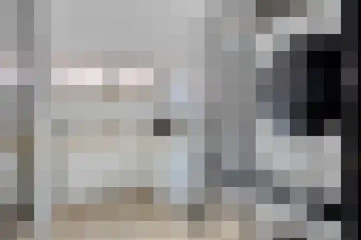 Westeinde 352 Berkhout thumbnail 31