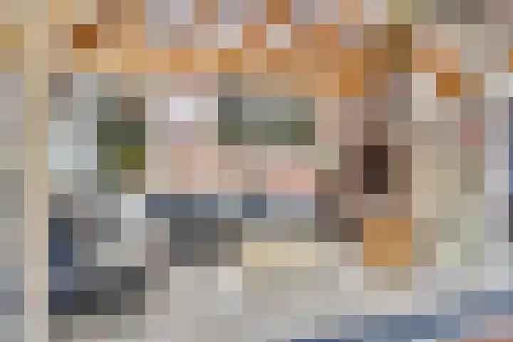 Westeinde 352 Berkhout thumbnail 33