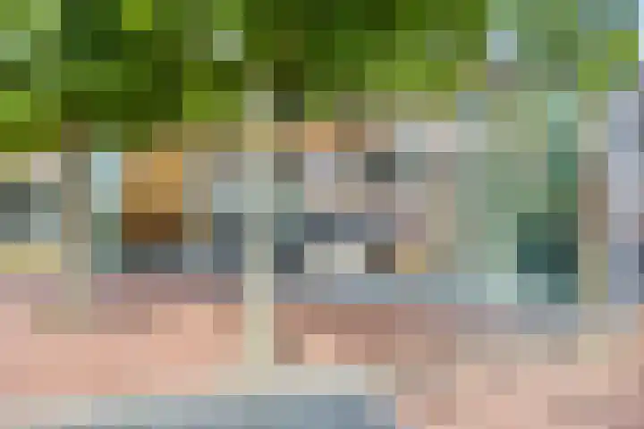 Westeinde 352 Berkhout thumbnail 34