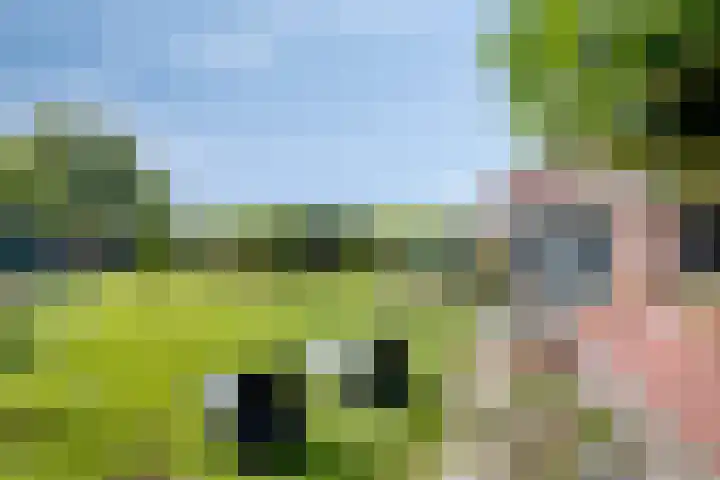 Westeinde 352 Berkhout thumbnail 35