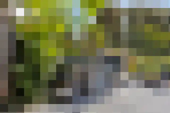 Westeinde 352 Berkhout thumbnail 36