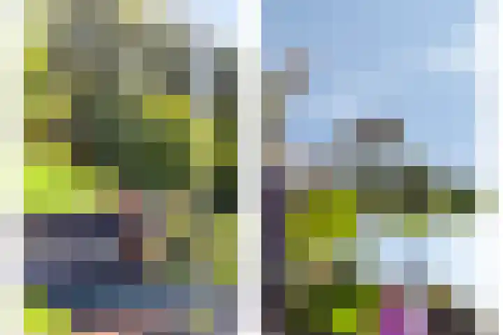 Westeinde 352 Berkhout thumbnail 37