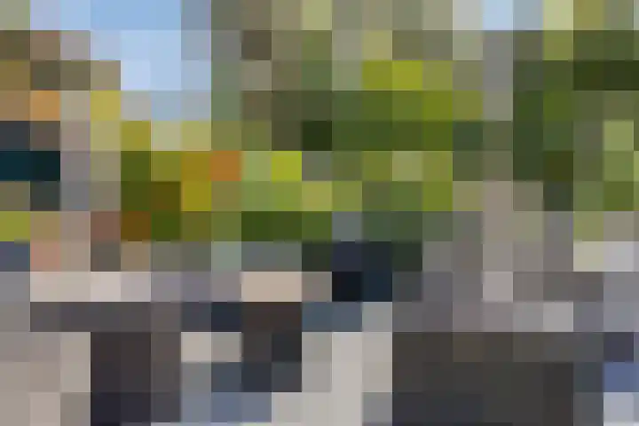 Westeinde 352 Berkhout thumbnail 38